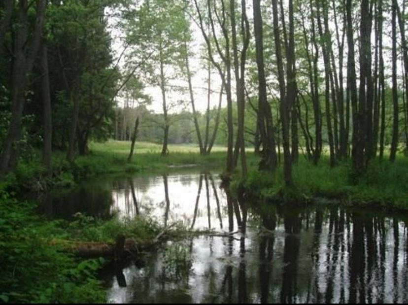 Domek Borsk Buitenkant foto