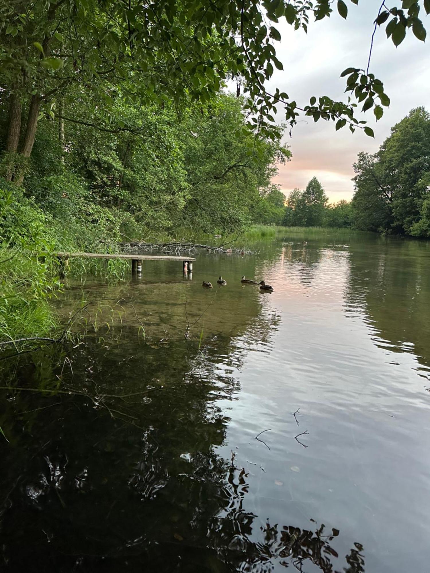 Domek Borsk Buitenkant foto